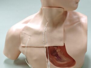 Mô Hình Chọc Dò Màng Tim( Đặt Ống Thông Tĩnh Mạch Trung Tâm)