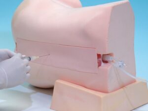 Mô Hình Chọc Dò Tủy Sống( Lồng Ngực & Thắt Lưng Tê Ngoài Màng Cứng)