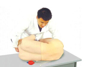 Mô Hình Đào Tạo Kỹ Năng Chọc Dò Thắt Lưng